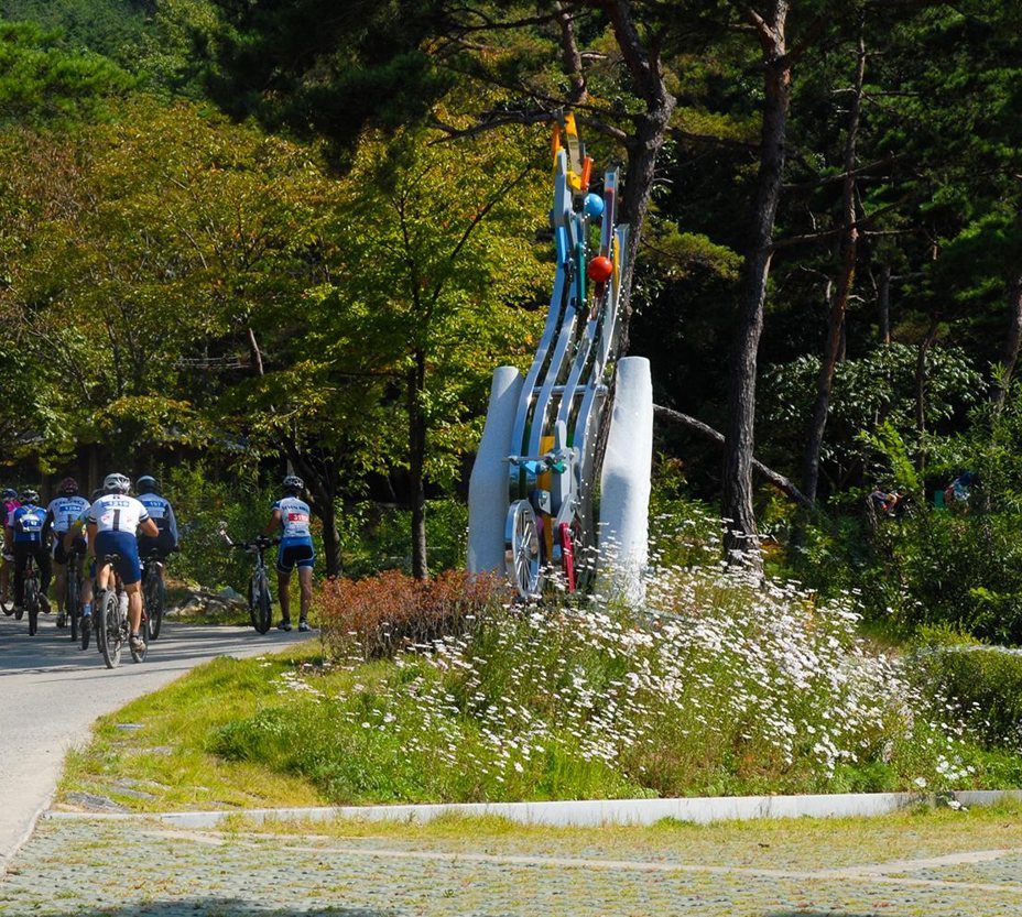 숲 사이 포장길을 따라 멀어지는 산악자전거 행렬과 자전거 조형물, 흰 꽃밭